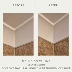 Bathroom & Mould Cleaner with Clove Oil