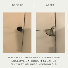 Bathroom & Mould Cleaner with Clove Oil