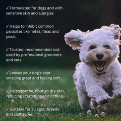 Natural Dog Shampoo - Salon Grade Formulation