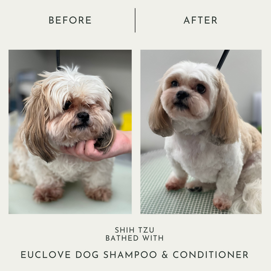 Leave in Pet Conditioner & Detangler - Salon Grade Formulation