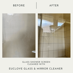 Glass & Mirror Cleaner