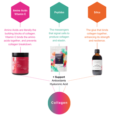 Collagen Building Blocks Bundle